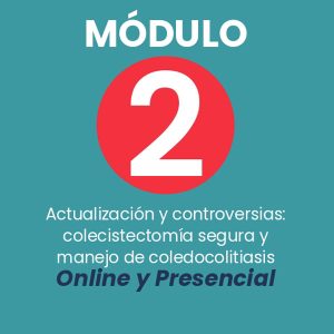 Módulo 2: Actualización y controversias; colecistectomÃa segura y manejo de coledocolitiasis (Online y Presencial)